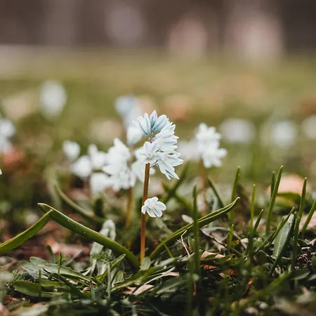Haus Bergblick 1 * Utzmemmingen