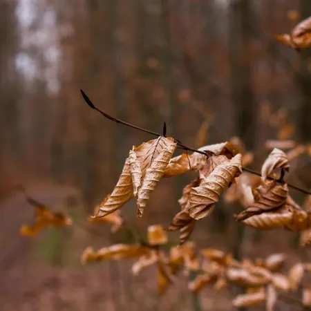 Haus Bergblick 1 公寓