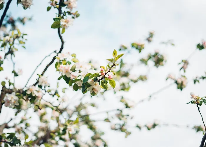 Haus Bergblick 1 Appartement *