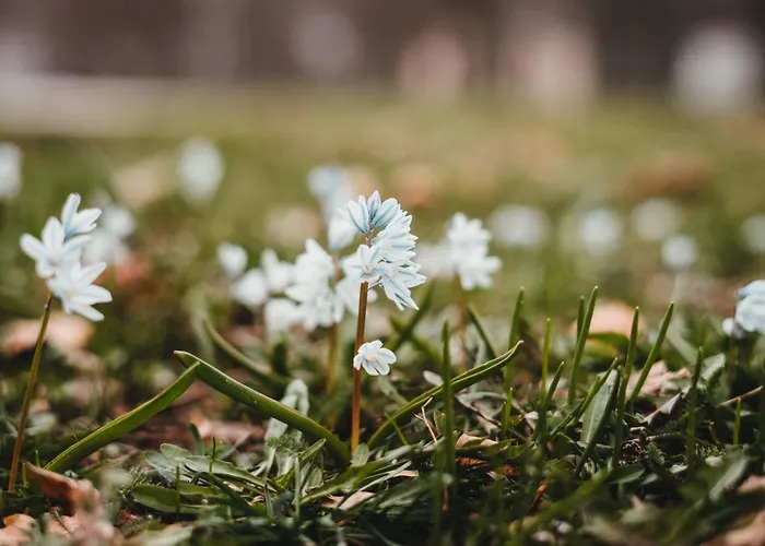 Haus Bergblick 1 * Utzmemmingen